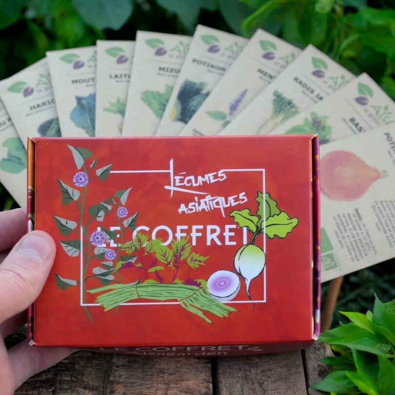 Coffret Légumes asiatiques (10 variétés originales)