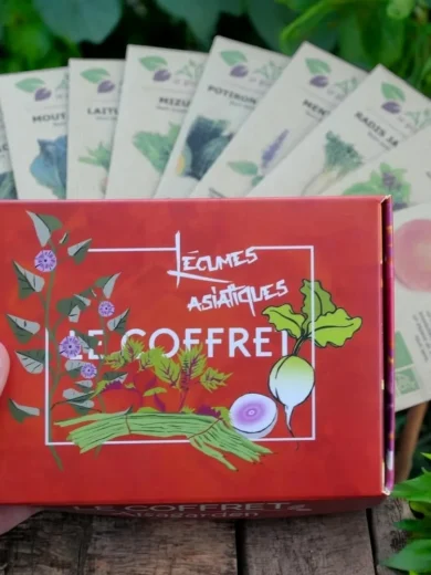 Coffret Légumes asiatiques (10 variétés originales)