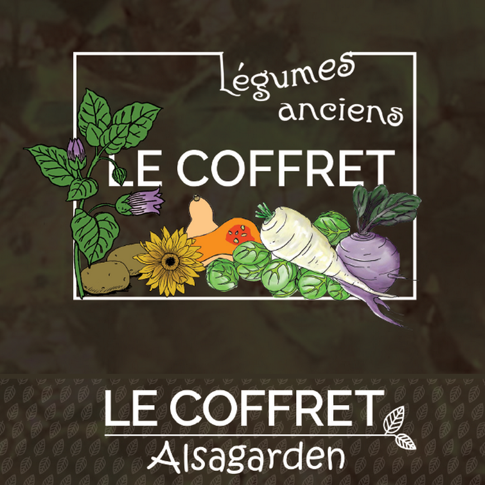 Coffret de graines Légumes anciens (10 variétés anciennes savoureuses) -  Alsagarden
