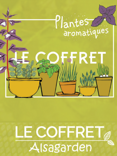 Jardinerie en ligne - Vente/Achat Plantes Graines Bulbes ! - Alsagarden