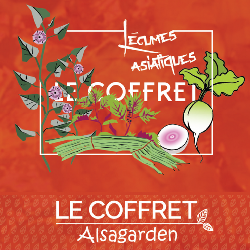 Coffret Légumes asiatiques (10 variétés originales) – Image 3