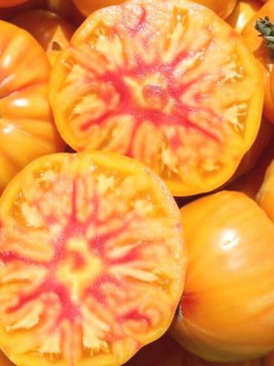 Tomate 'German Gold' (Variété ancienne) Graines