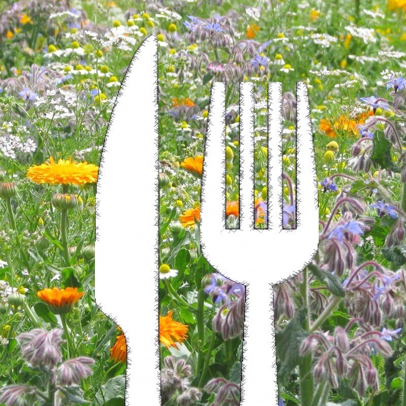 18 Fleurs Comestibles à Cultiver Dans Son Jardin