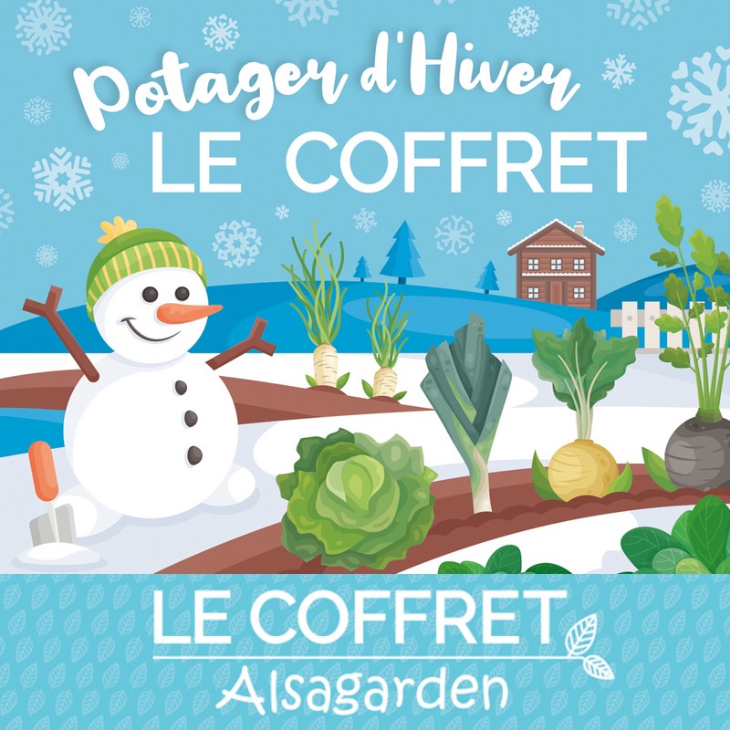 Idée Cadeau : Pensez aux coffrets de graines Alsagarden, jardinage et  découvertes