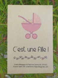 Faire-part à semer "C'est une fille" (Poussette)