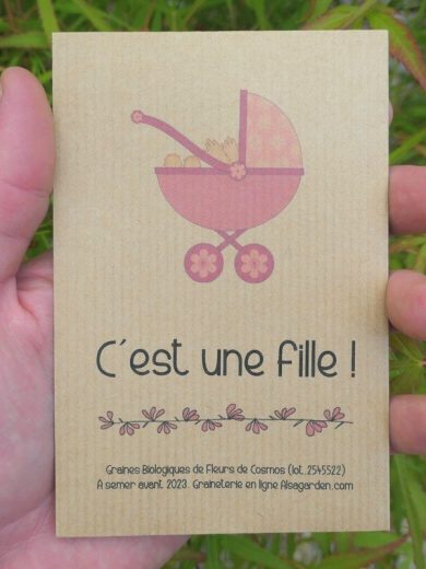 Faire-part à semer "C'est une fille" (Poussette)