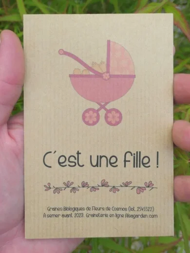 Faire-part à semer "C'est une fille" (Poussette)