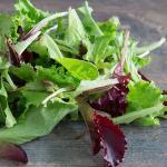 Mesclun (Mélange à salades) Graines