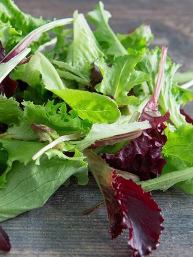 Mesclun (Mélange à salades) Graines