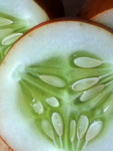 Concombre 'Poona Kheera' Graines