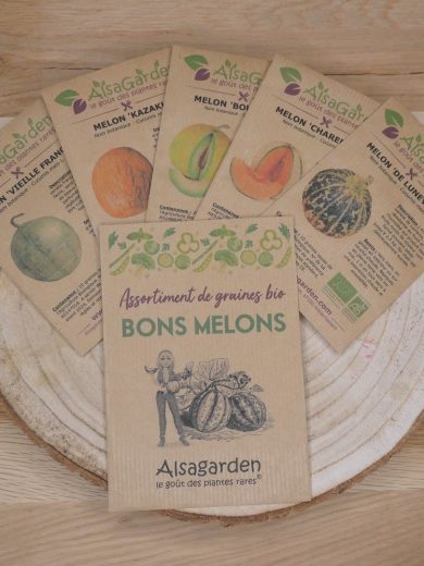 Assortiment Bons Melons (5 Variétés de graines BIO)