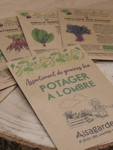 Assortiment Potager à l'ombre (5 Variétés de graines BIO)