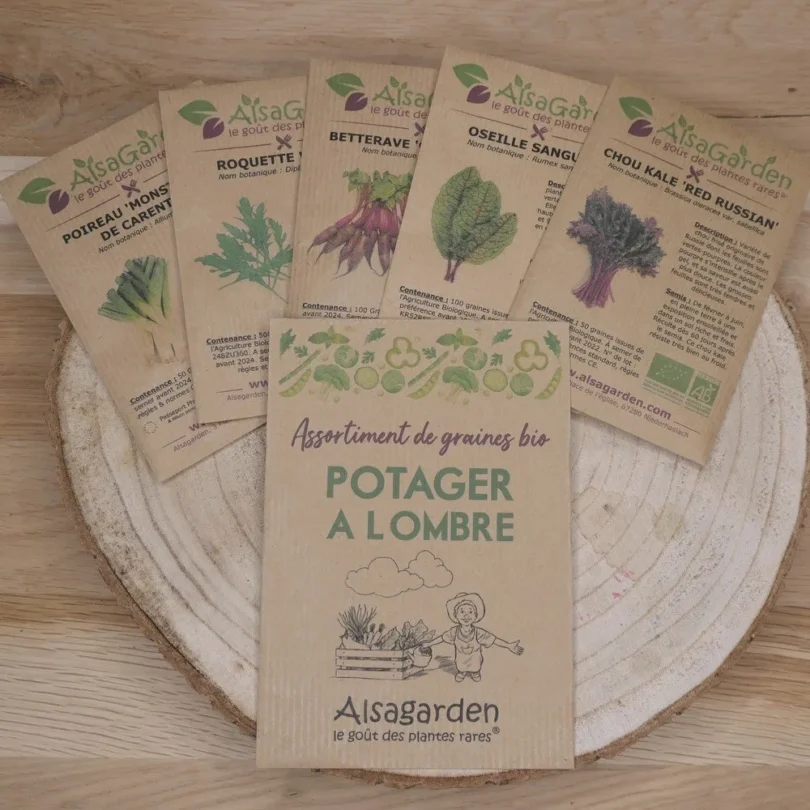Assortiment Potager à l'ombre (5 Variétés de graines BIO)