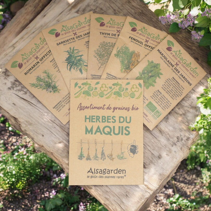 Assortiment Herbes du Maquis (5 Variétés de graines BIO)