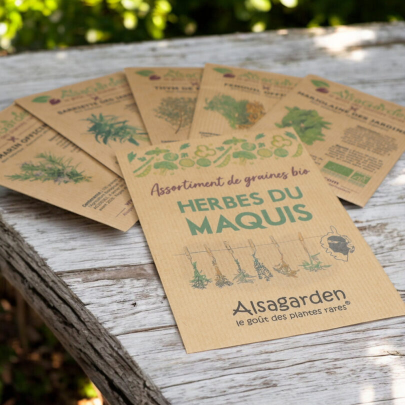 Assortiment Herbes du Maquis (5 Variétés de graines BIO) – Image 2