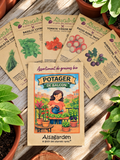 Assortiment Potager de Balcon (5 Variétés de graines BIO)