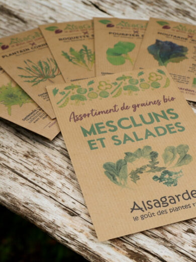 Assortiment Mescluns et salades (5 Variétés de graines BIO) – Image 2