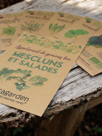 Assortiment Mescluns et salades (5 Variétés de graines BIO) – Image 3