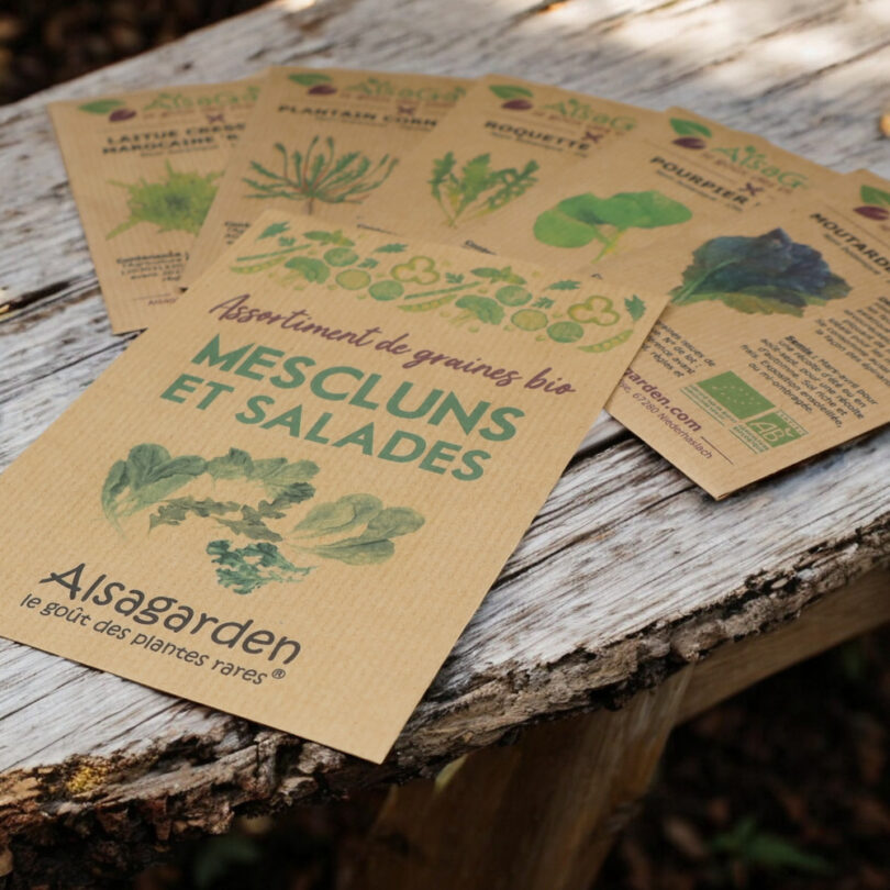 Assortiment Mescluns et salades (5 Variétés de graines BIO) – Image 3