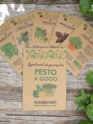 Assortiment Pesto à gogo (5 Variétés de graines BIO)