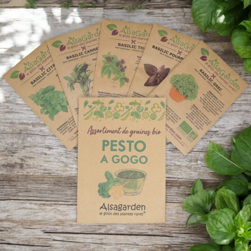 Assortiment Pesto à gogo (5 Variétés de graines BIO)
