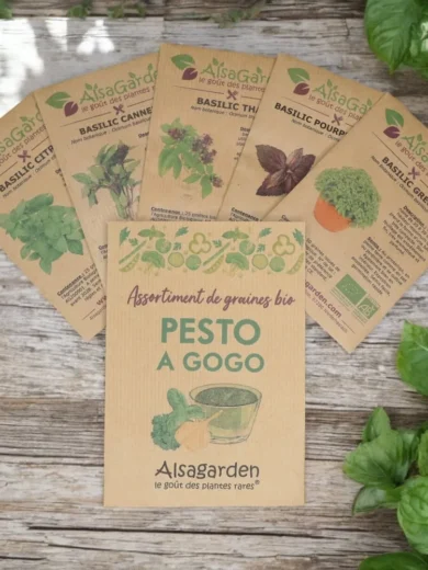 Assortiment Pesto à gogo (5 Variétés de graines BIO)