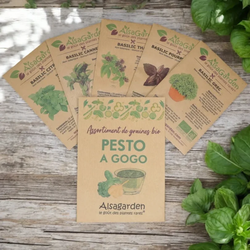 Assortiment Pesto à gogo (5 Variétés de graines BIO)