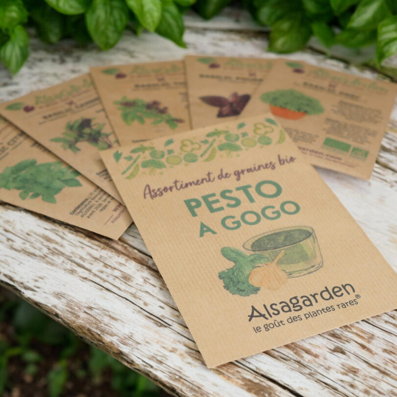 Assortiment Pesto à gogo (5 Variétés de graines BIO) – Image 2