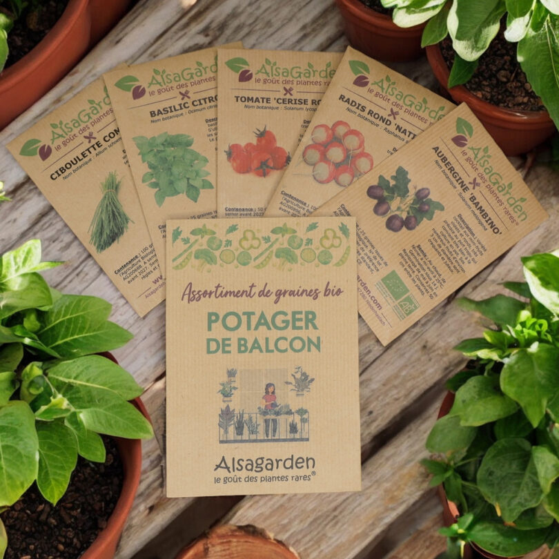 Assortiment Potager de Balcon (5 Variétés de graines BIO)