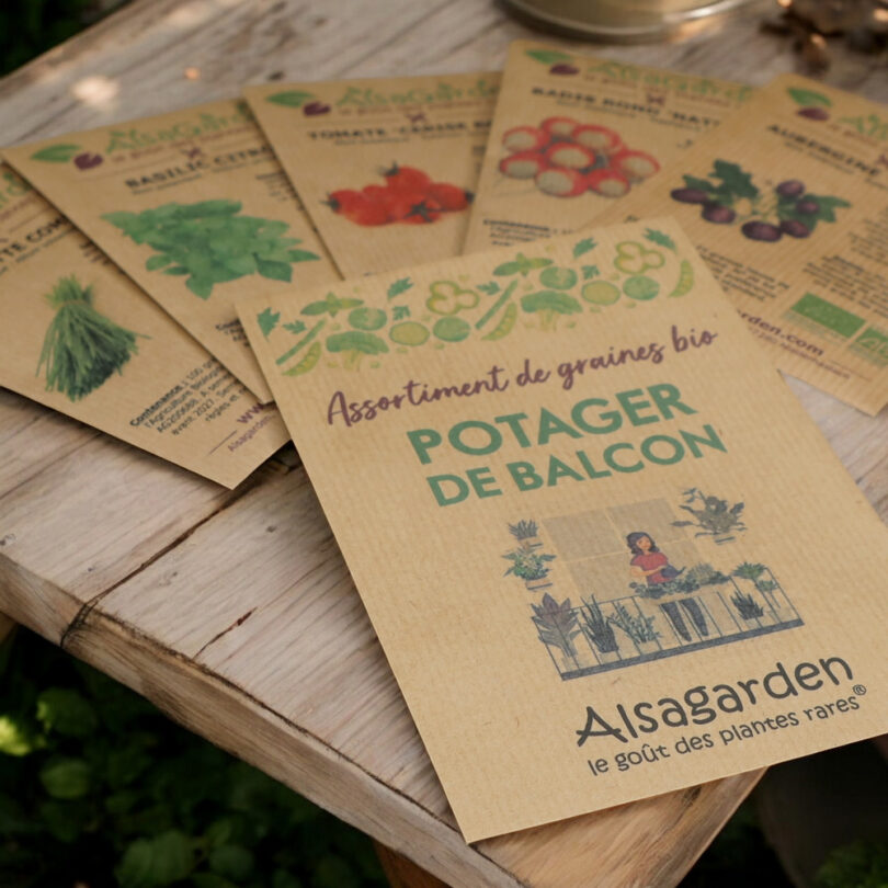 Assortiment Potager de Balcon (5 Variétés de graines BIO) – Image 3