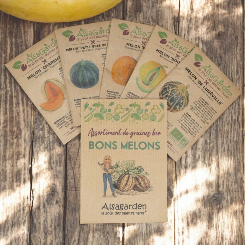 Assortiment Bons Melons (5 Variétés de graines BIO)