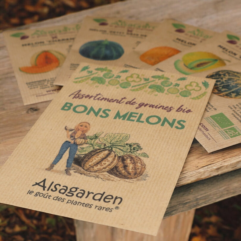 Assortiment Bons Melons (5 Variétés de graines BIO) – Image 2