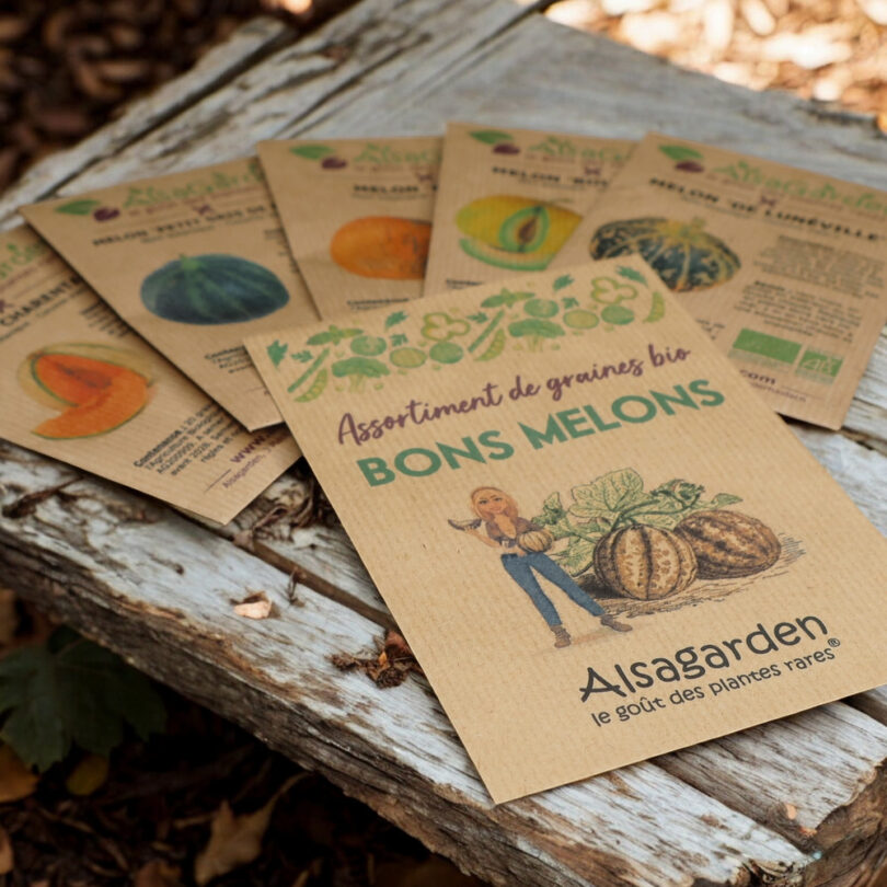 Assortiment Bons Melons (5 Variétés de graines BIO) – Image 3