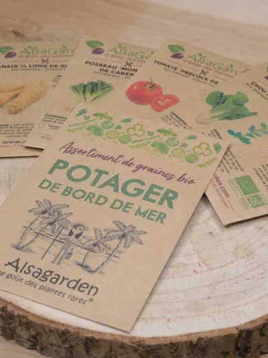 Assortiment Potager de Bord de Mer (5 Variétés de graines BIO)