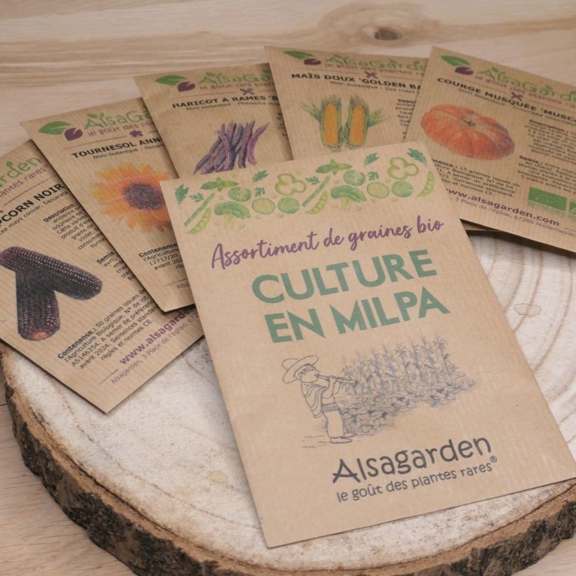 Assortiment Culture en Milpa (5 Variétés de graines BIO)