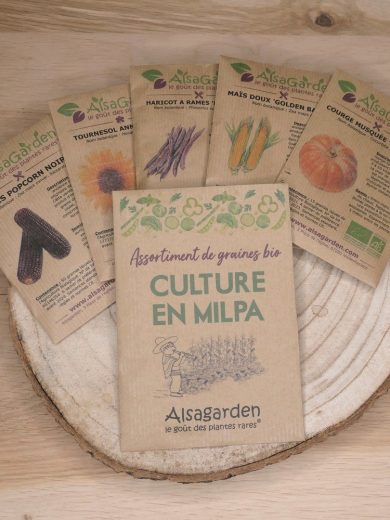 Assortiment Culture en Milpa (5 Variétés de graines BIO)