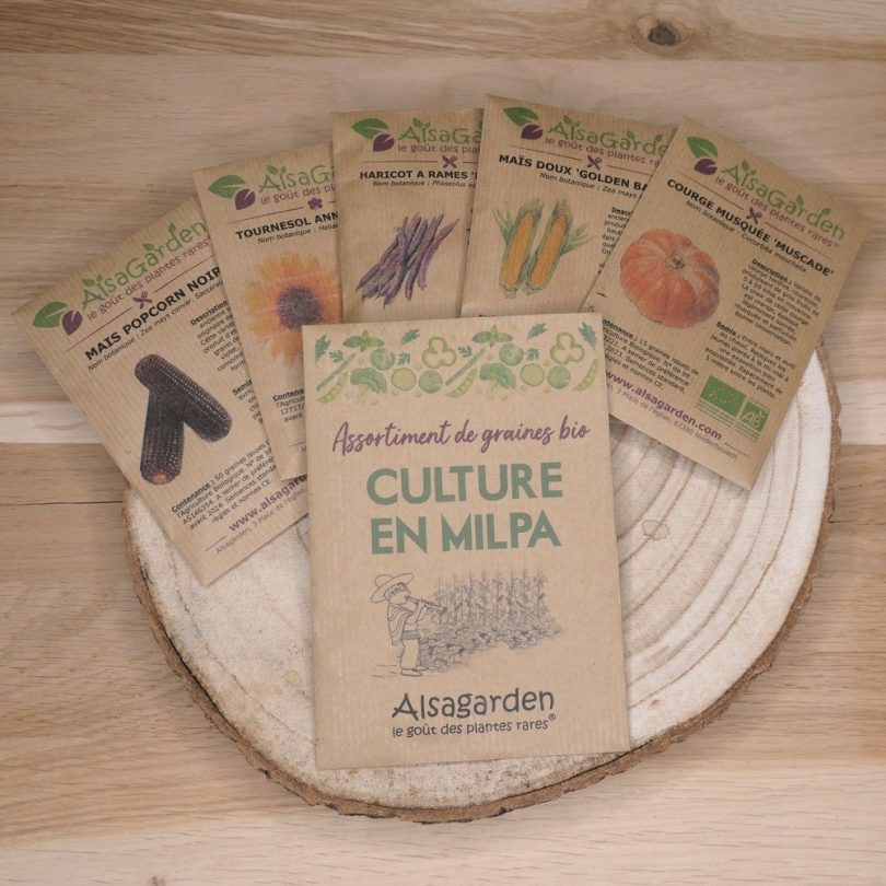 Assortiment Culture en Milpa (5 Variétés de graines BIO)