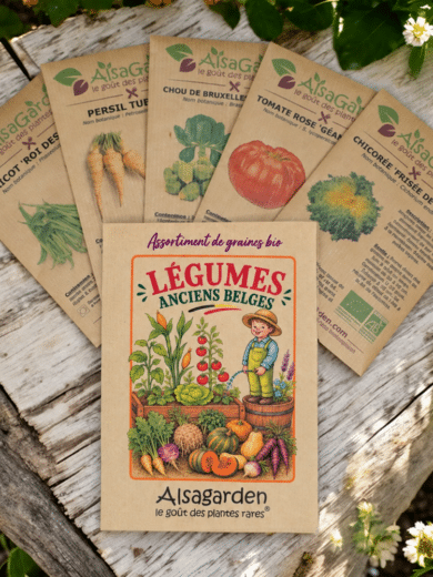 Assortiment Légumes anciens Belges (5 Variétés de graines BIO)
