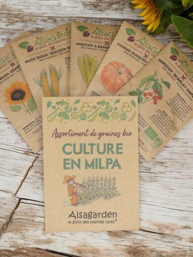 Assortiment Culture en Milpa (5 Variétés de graines BIO)