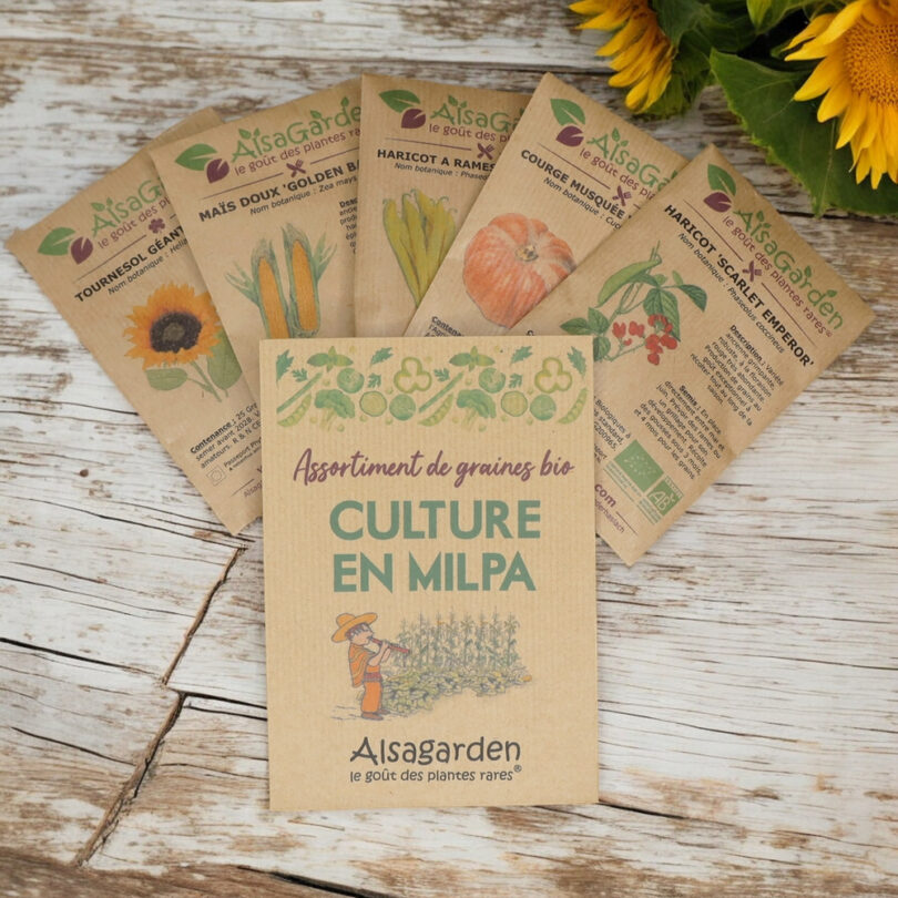 Assortiment Culture en Milpa (5 Variétés de graines BIO)