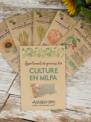 Assortiment Culture en Milpa (5 Variétés de graines BIO)
