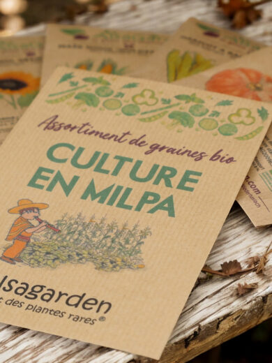 Assortiment Culture en Milpa (5 Variétés de graines BIO) – Image 3
