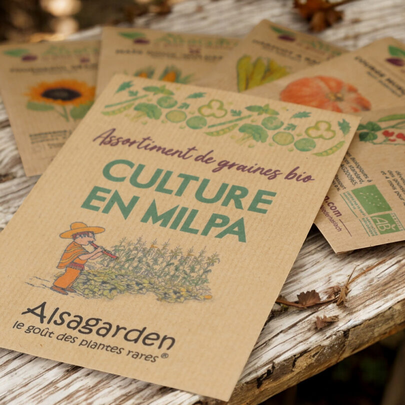 Assortiment Culture en Milpa (5 Variétés de graines BIO) – Image 3