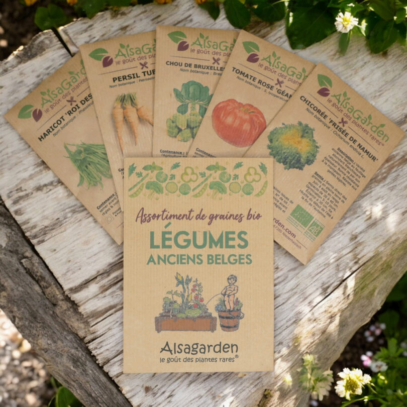 Assortiment Légumes anciens Belges (5 Variétés de graines BIO)