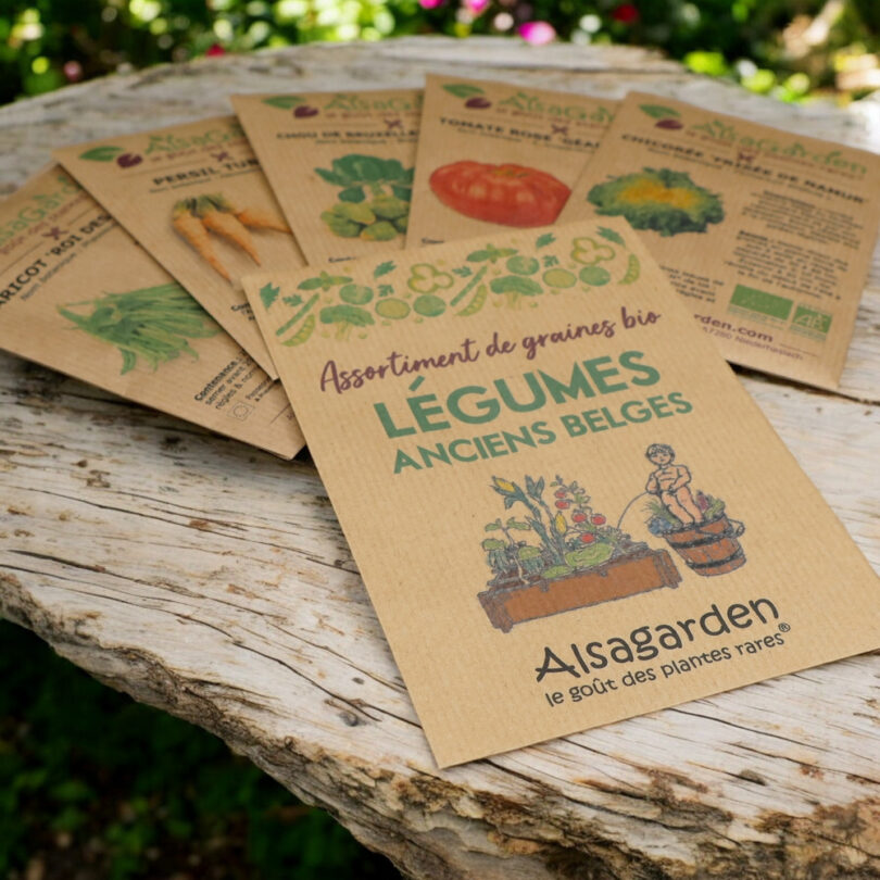 Assortiment Légumes anciens Belges (5 Variétés de graines BIO) – Image 2