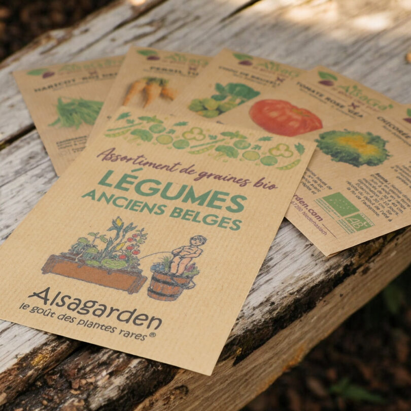 Assortiment Légumes anciens Belges (5 Variétés de graines BIO) – Image 3