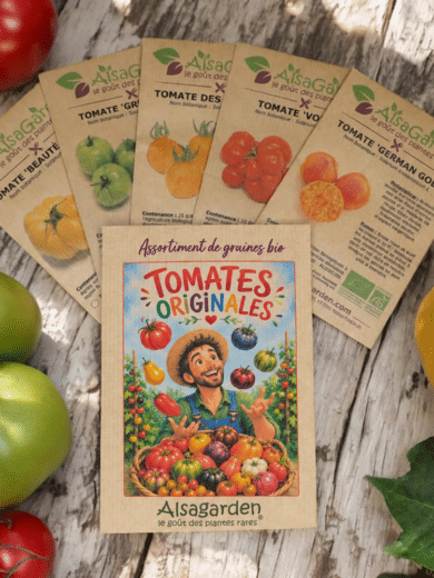 Assortiment Tomates originales (5 Variétés de graines BIO)