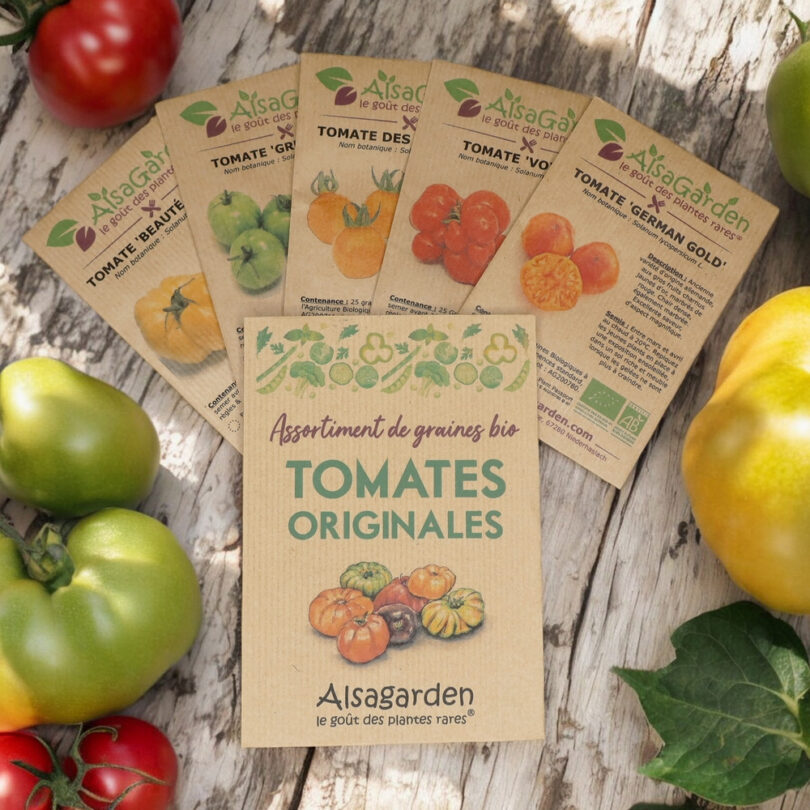 Assortiment Tomates originales (5 Variétés de graines BIO)