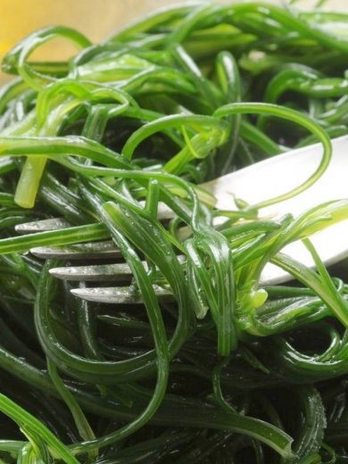 Agretti (Salsola soda) Graines
