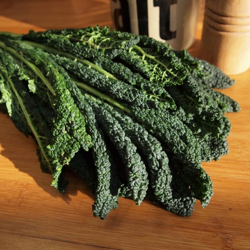 Chou Kale Palmier 'Noir de Toscane' (Chou 'Lacinato') Graines – Image 3